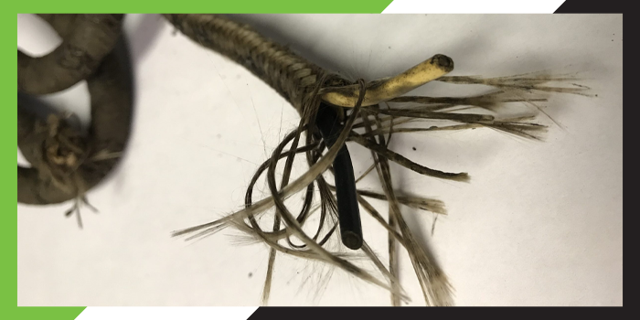 The Hidden Risk of Cloth Wiring in Mid-Century Homes